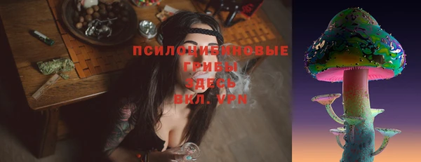 бошки Лагань