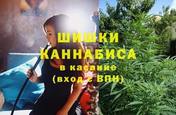 бошки Лагань