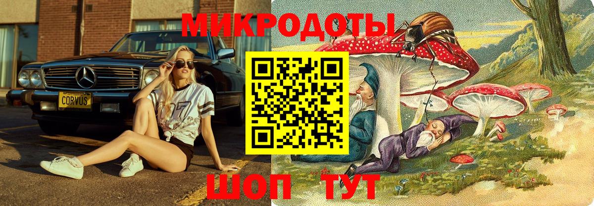 Псилоцибиновые грибы прущие грибы Радужный
