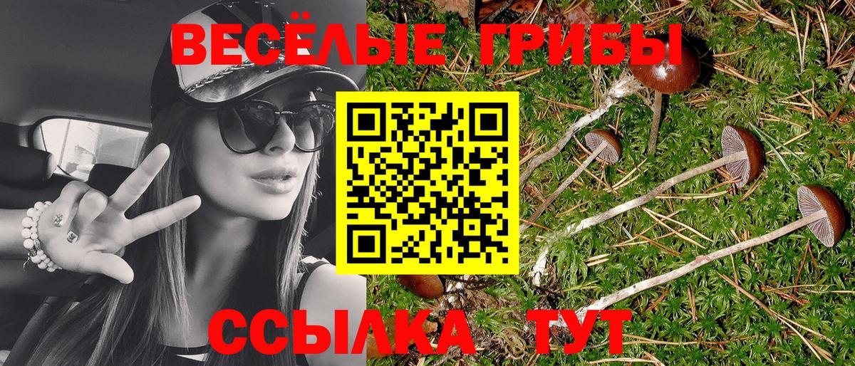Галлюциногенные грибы ЛСД  Вход с VPN  Псилоцибиновые грибы Cubensis  купить наркотики цена  Радужный 
